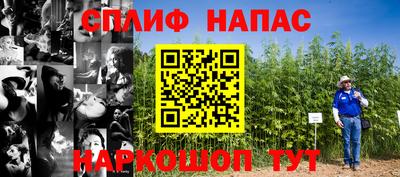 мдпв Моздок