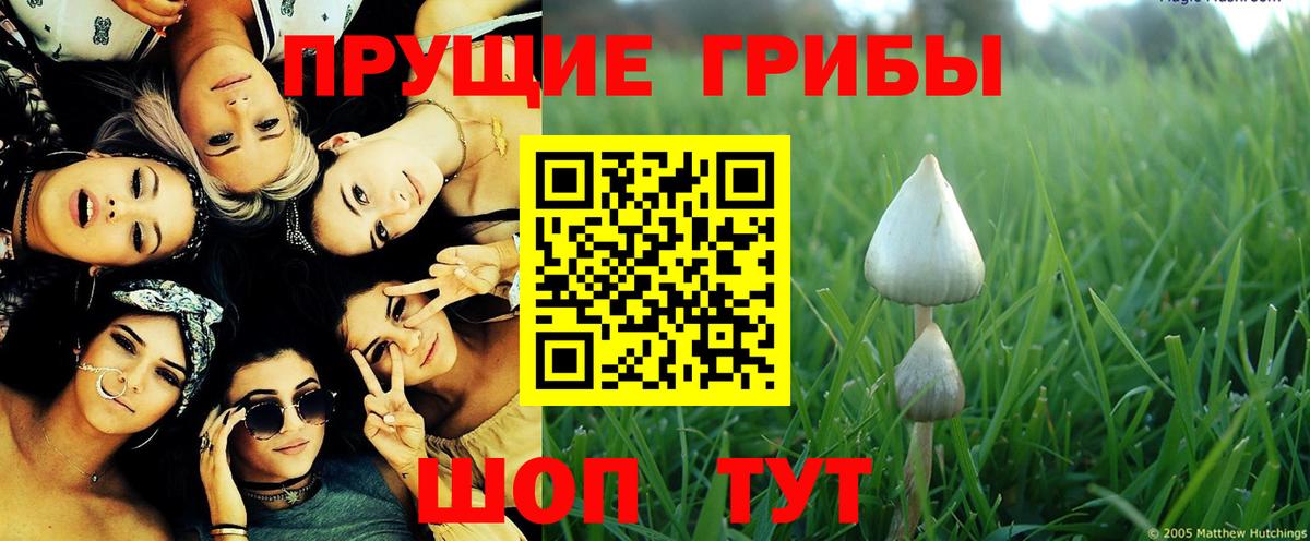 Псилоцибиновые грибы Psilocybe  Галлюциногенные грибы Psilocybe  Урай  Вход с VPN 